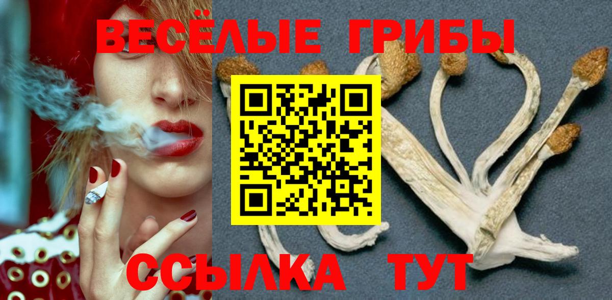 Псилоцибиновые грибы MAGIC MUSHROOMS Лосино-Петровский